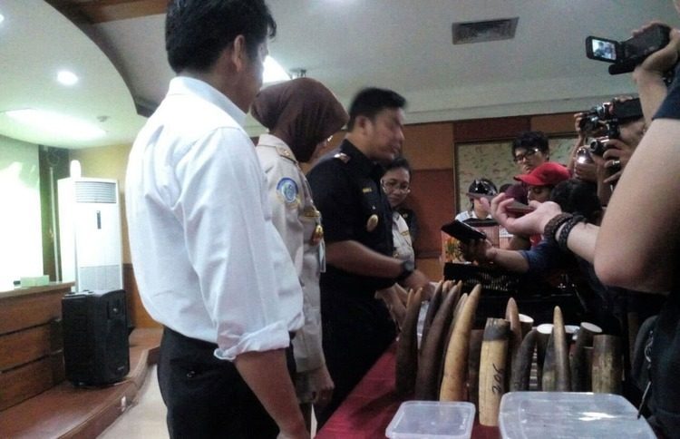 WNA Nekat Selundupkan Burung Dalam Celana