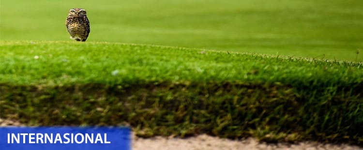 Arena Golf Olimpiade Disusupi Burung Hantu, Ular dan Buaya