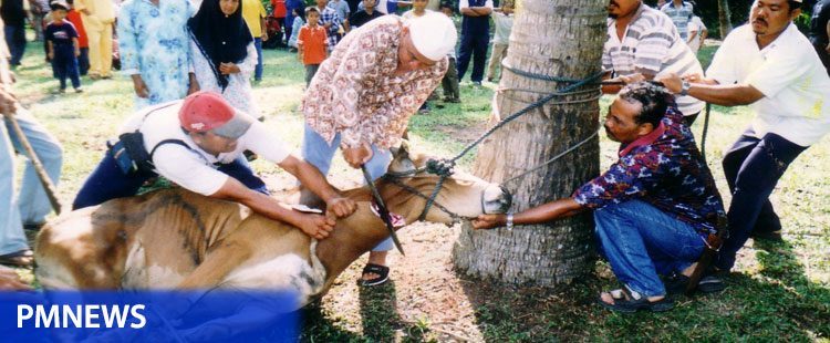 hari raya idul adha