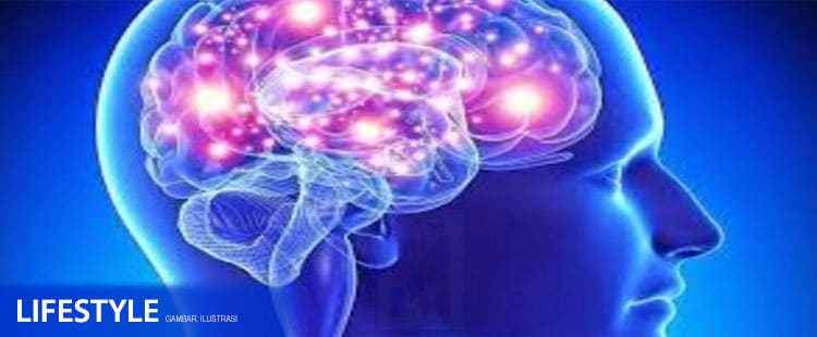 kebiasaan merokok merusak otak