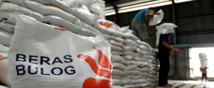 Berkas Kasus Mafia Beras Bulog Divre DKI Jakarta-Banten