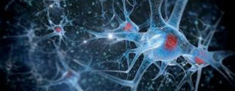 gen pemulihan sel saraf