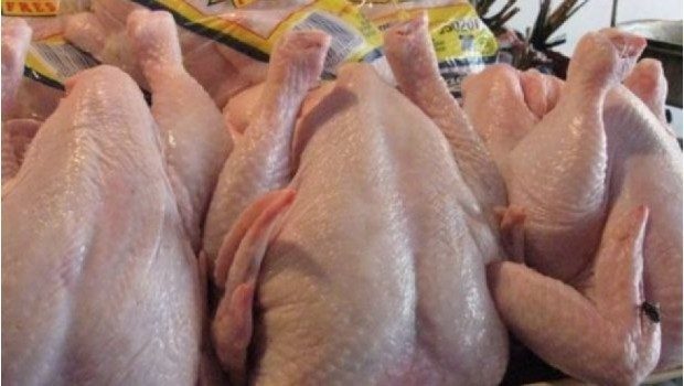 daging ayam dingin segar