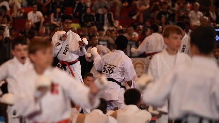 Kejuaraan karate asia pasifik indonesia