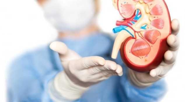 Gagal Ginjal Kronis Penyakit