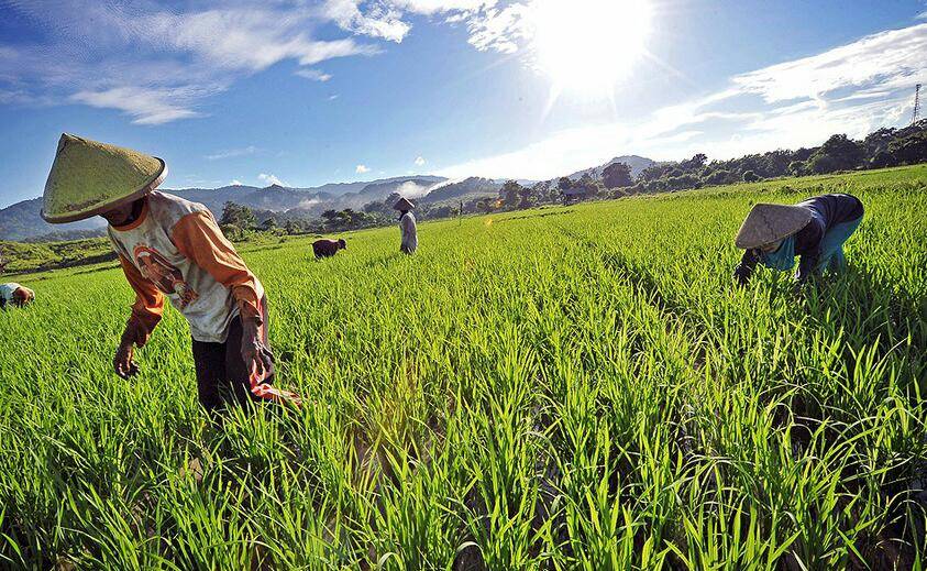 BUMD Agrobisnis Banten