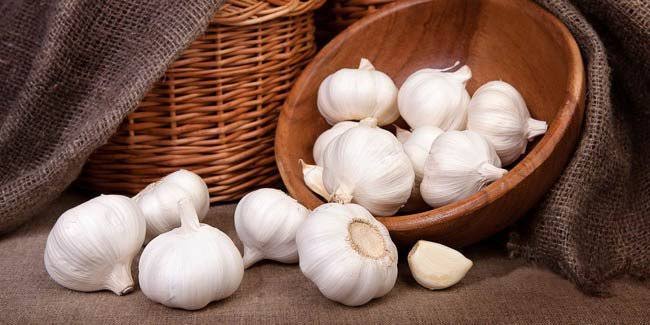mengkonsumsi bawang putih