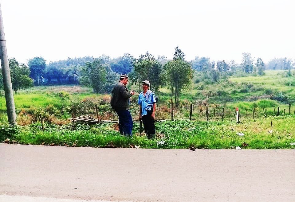 kasus penebangan pohon warga