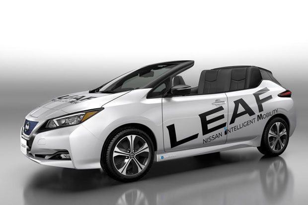 nissan leaf open car