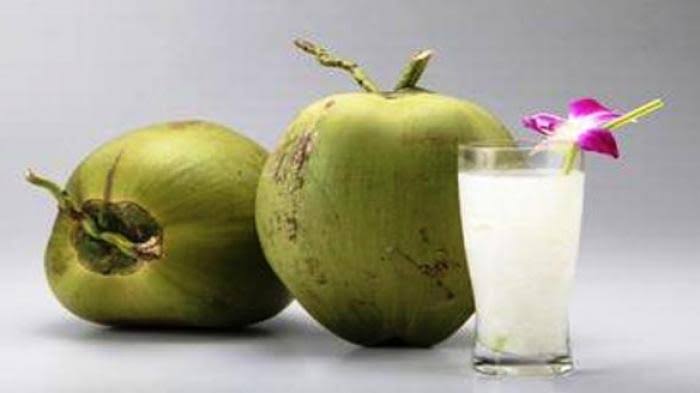 manfaat air kelapa hijau