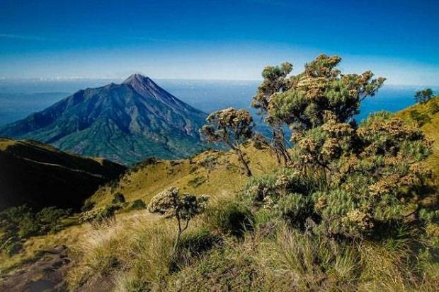 pendaki asal Australia diselamatkan