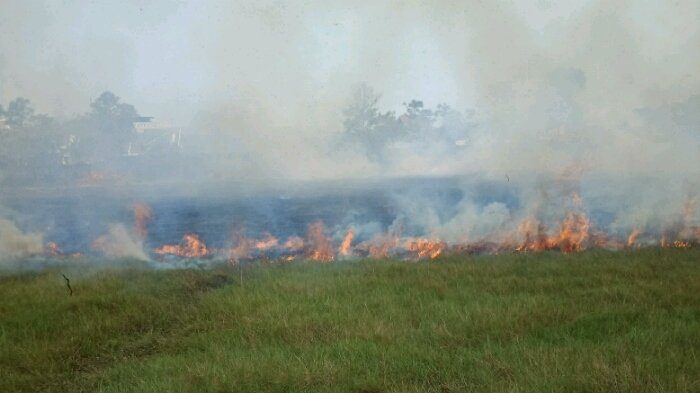 kebakaran akibat puntung rokok