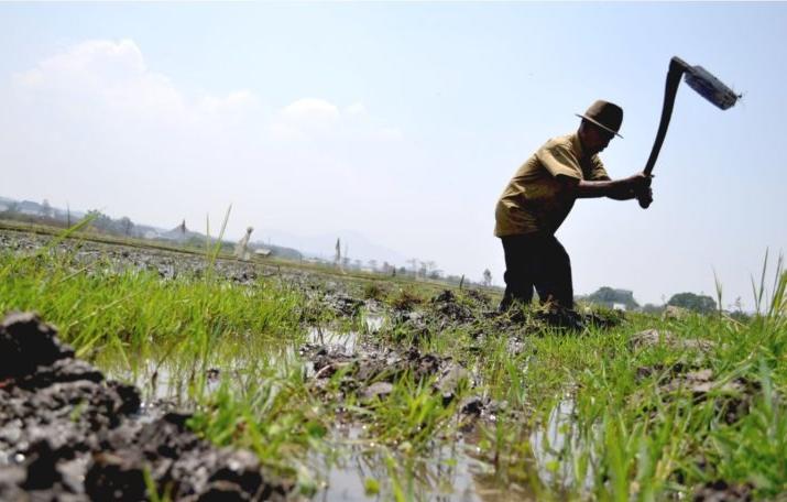 pengembangan lahan kering banten