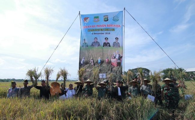 gerkan panen bersama bekasi