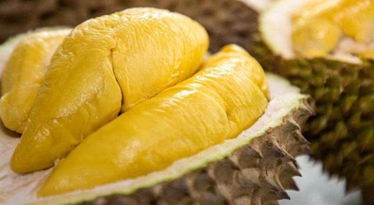 durian unggulan