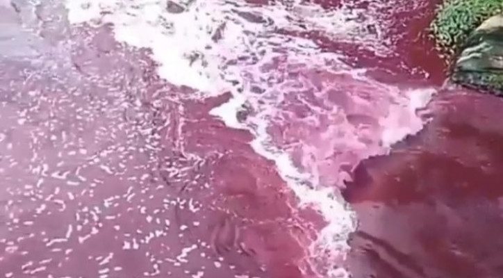 foto 20210617 171059 wcr