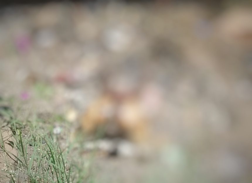 img 20220303 140214 01