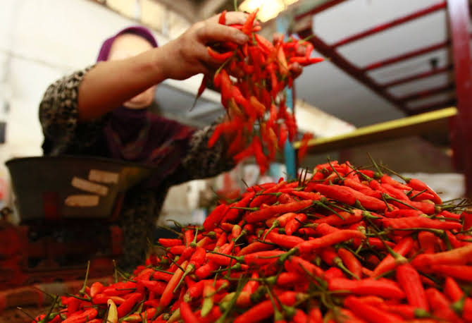 images 2022 03 07t101803.634