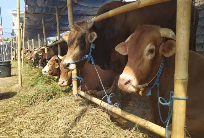 images 2022 05 24t092239.920