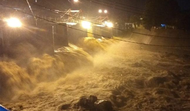 creator: gd jpeg v1.0 (using ijg jpeg v62), default quality?