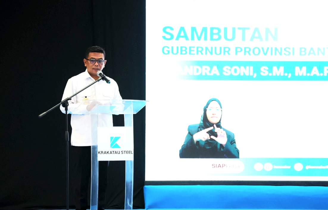 creator: gd jpeg v1.0 (using ijg jpeg v80), quality = 90?