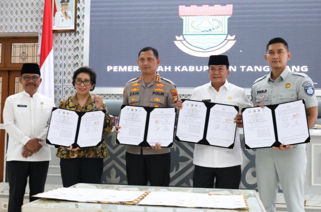 creator: gd jpeg v1.0 (using ijg jpeg v80), quality = 90?