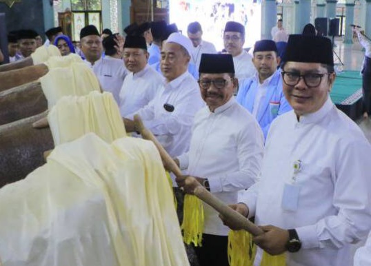 creator: gd jpeg v1.0 (using ijg jpeg v62), quality = 70?